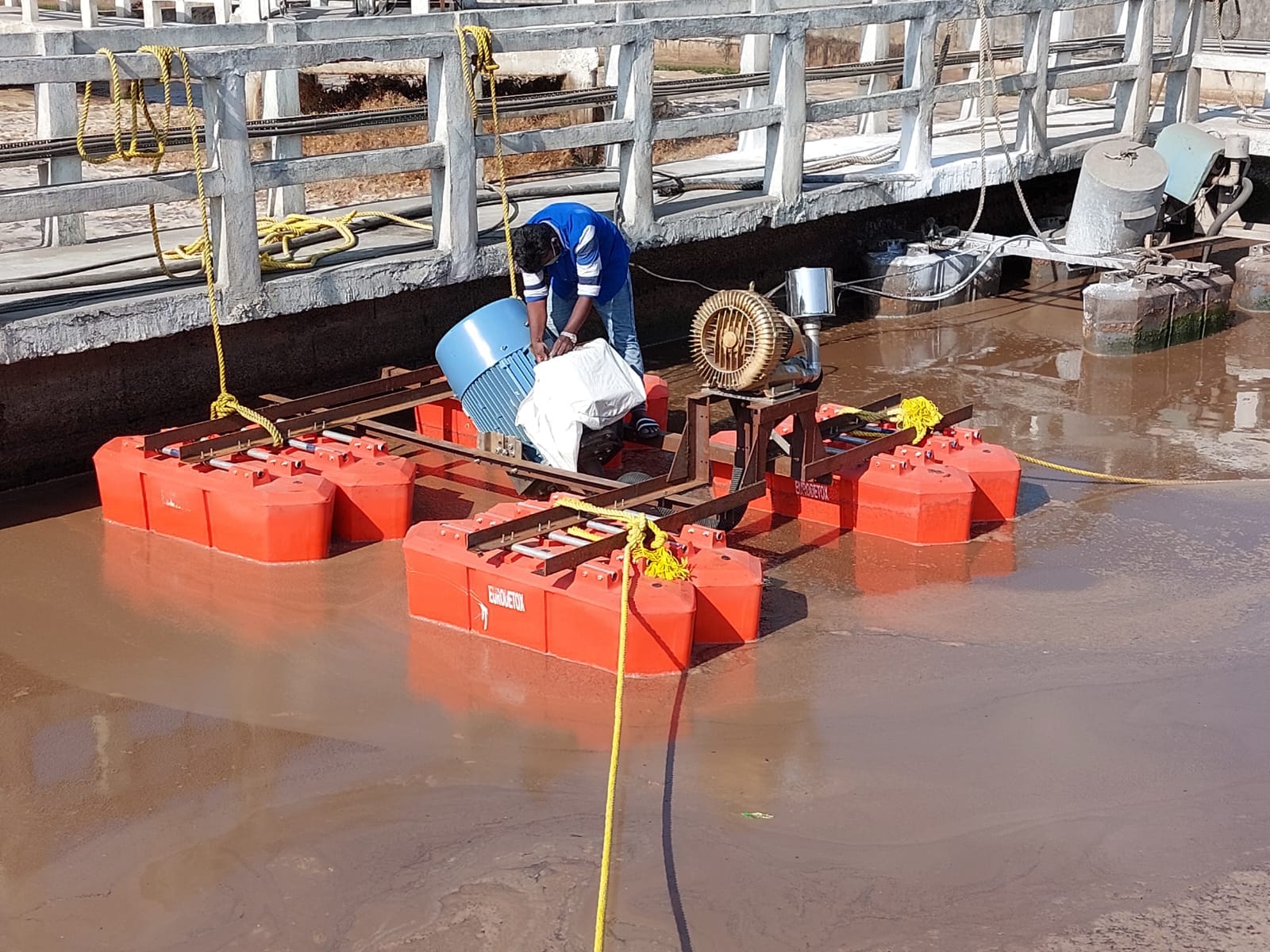 WhatsApp Image 2026-03-17 at 22.40.56