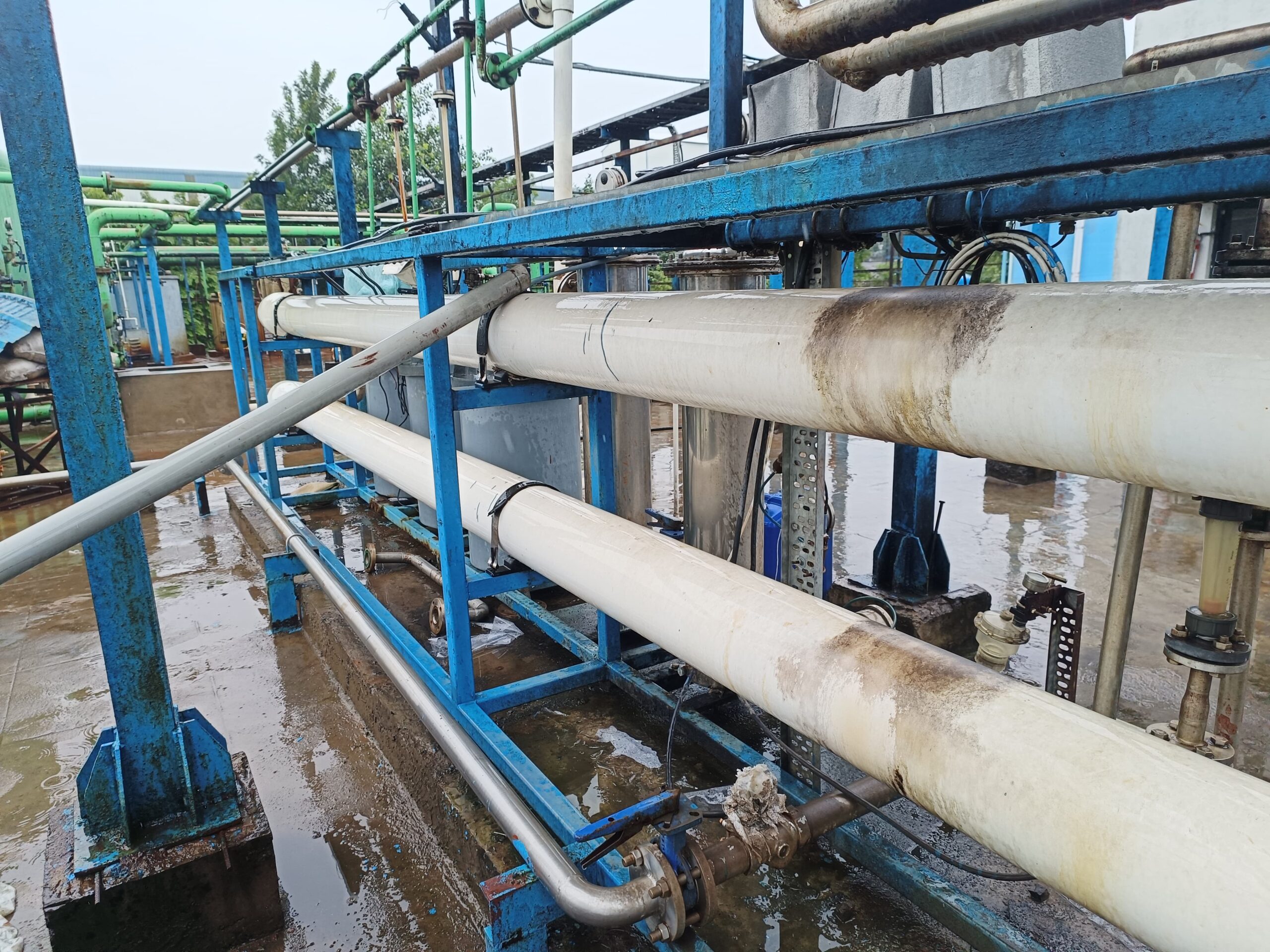 WhatsApp Image 2026-03-17 at 22.41.00